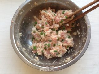 磷虾猪肉云吞的做法_磷虾猪肉云吞怎么做_海之韵美食记的菜谱