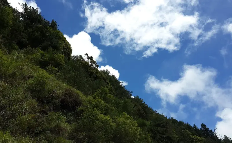 阿赞托姆情降:如何通过神秘仪式吸引或挽回爱情
