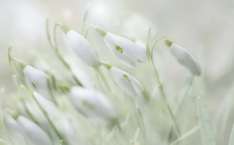 黑法情降和白法不同:情感操控与修复的真正区别