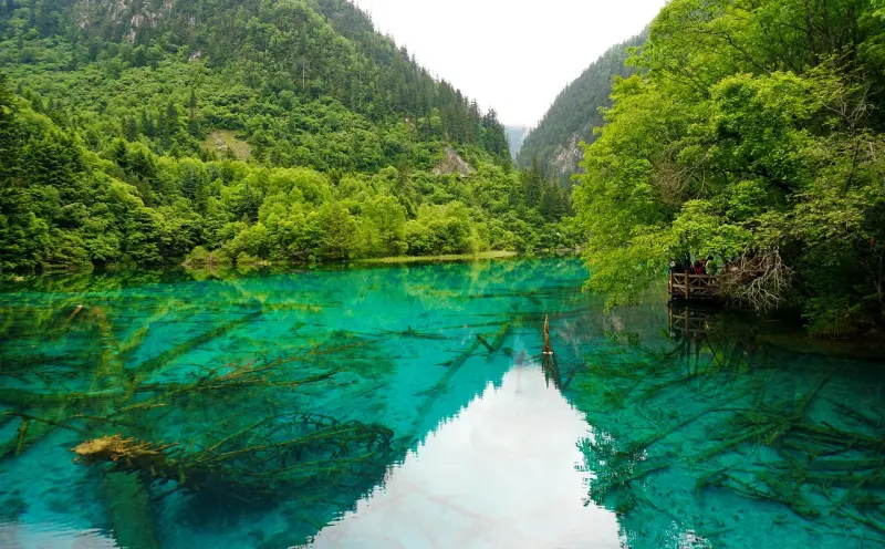柬埔寨山里情降师傅的神秘面纱与文化传承
