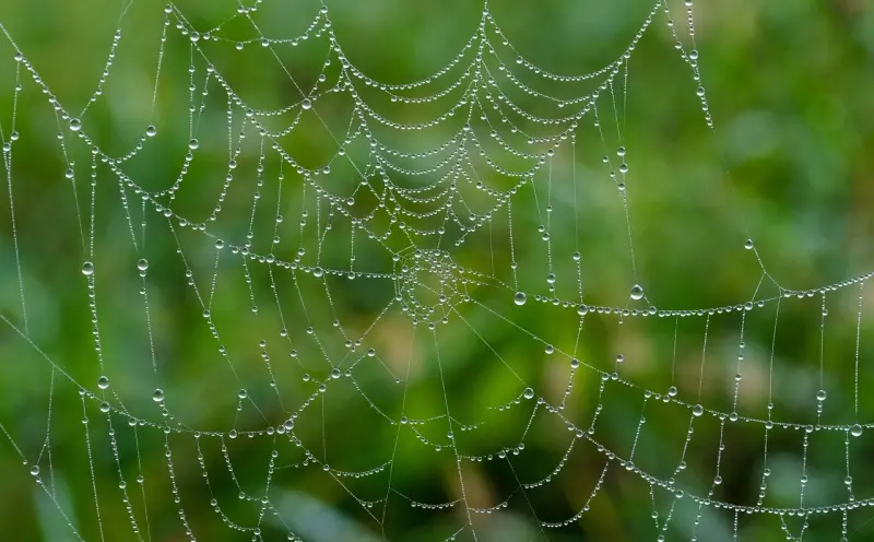 情降滴蜡烛：提升感情吸引力与修复关系的神秘工具
