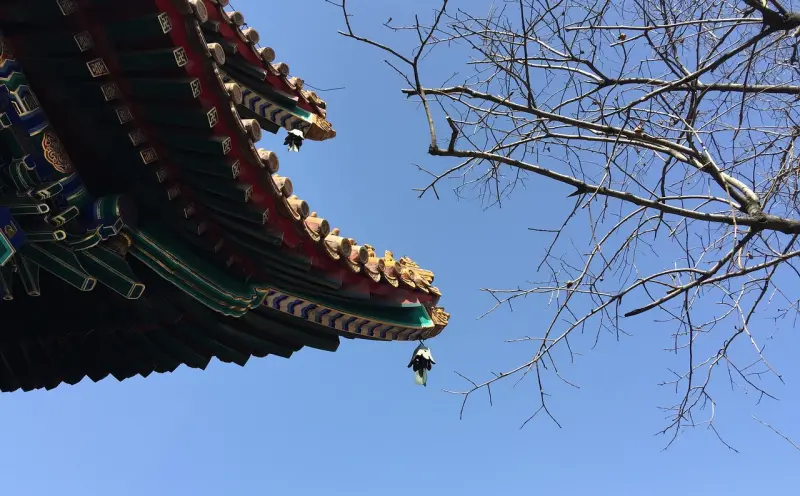 情降和情蛊有什么区别:文化背景、原理与实际应用解析