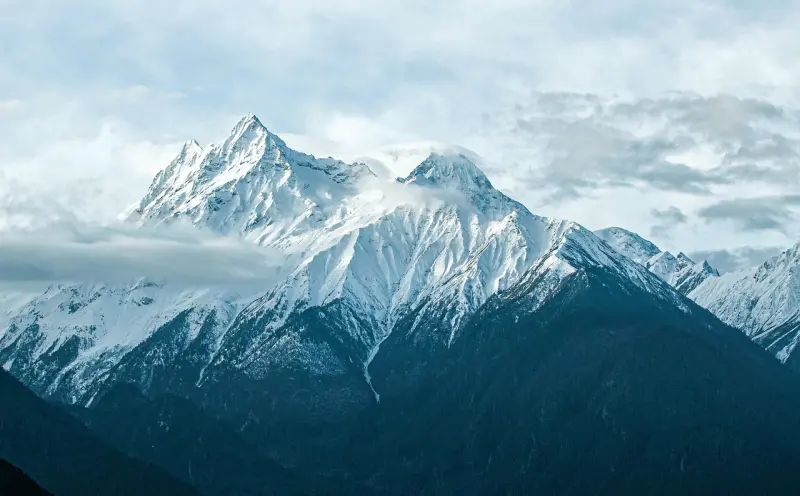 如何辨别山寨降头与正规降头？一文教你避开心理操控和骗局陷阱