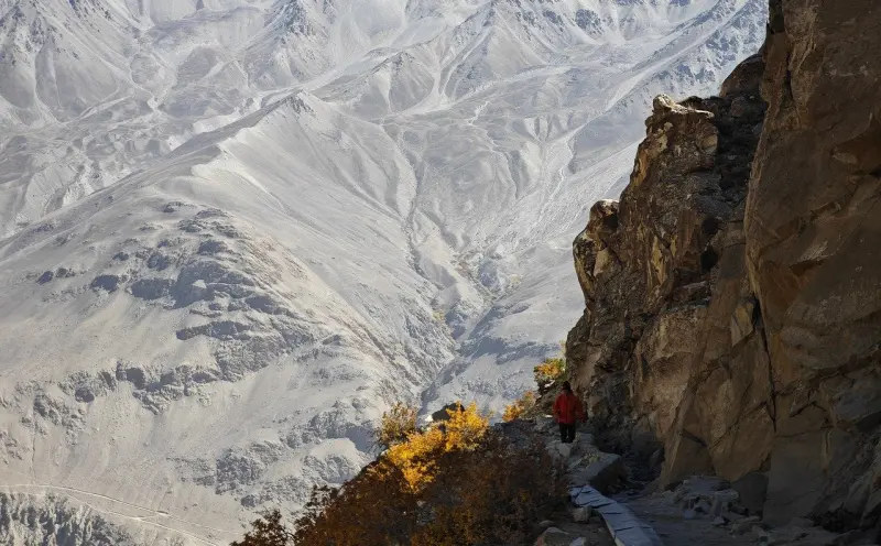 探索泰国情降法事:禁忌、法律风险与心理影响