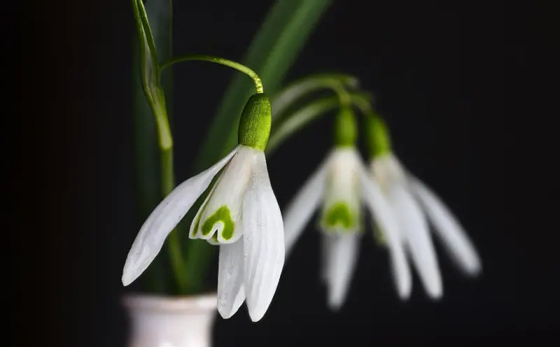 邪法情降的真相:危害、识别与应对方法