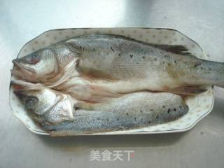 清蒸海鲈鱼的做法步骤：2