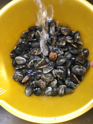 麻辣椒炒花蛤蜊的做法步骤：1