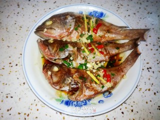 下酒菜一一清蒸海洋桂鱼的做法步骤：6