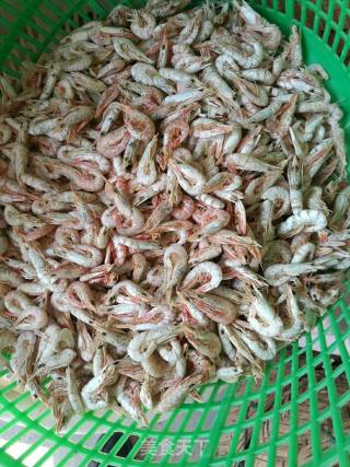 野生虾米制作的做法步骤：3