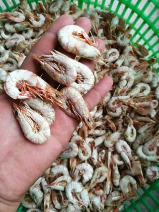 野生虾米制作的做法步骤：4