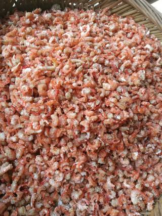 野生虾米制作的做法步骤：5