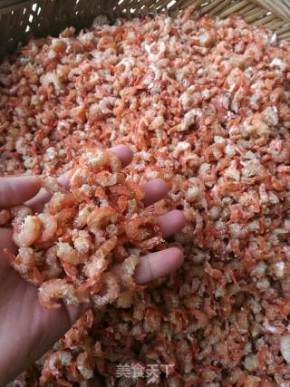 野生虾米制作的做法步骤：6