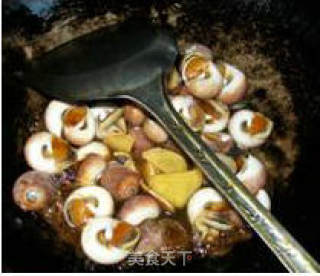 葱姜肉螺的做法步骤：5
