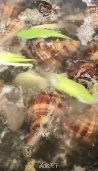 酱汁海螺的做法步骤：4