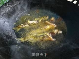 黄颡鱼一锅鲜的做法步骤：4