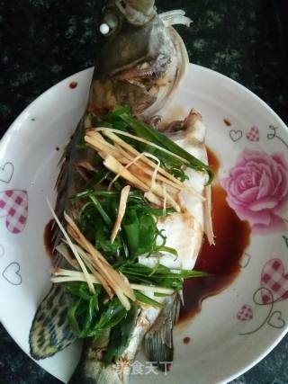 清蒸桂鱼的做法步骤：3