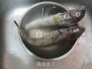 清蒸海黄鱼的做法步骤：1
