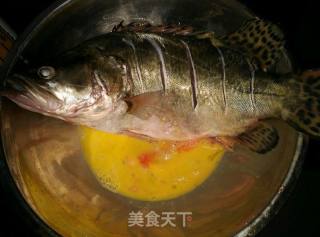 红烧鲑鱼的做法步骤：2
