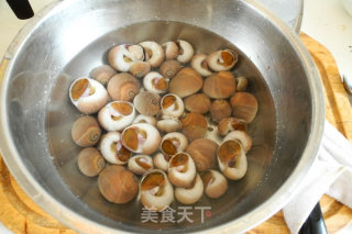 水煮香螺的做法步骤：1