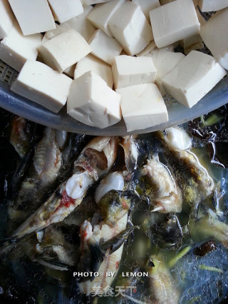 黄颡鱼炖豆腐的做法步骤：12