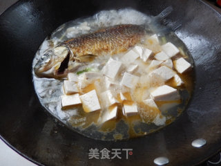 红烧鲫鱼豆腐的做法步骤：9