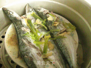 鲜鱼蒸着吃--清蒸鲅鱼的做法步骤：9