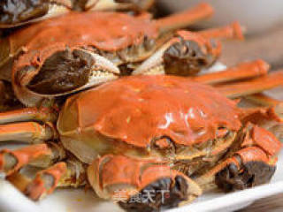 【清蒸大闸蟹】--- 金秋里的美味之最的做法步骤：8