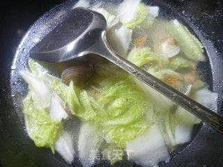 白菜圆蛤汤的做法步骤：8