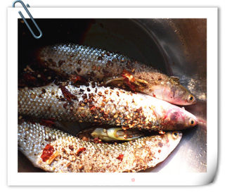 香烤梭鱼的做法步骤：2
