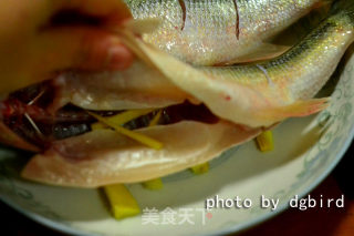 #简单生活，简单菜# 清蒸鲈鱼的做法步骤：8