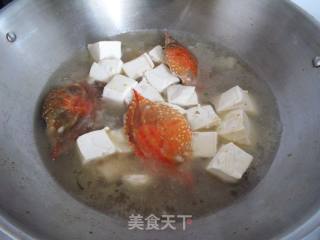 一蟹二食之蟹壳豆腐汤的做法步骤：5