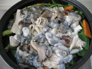 塔吉锅之蔬菜海鲜锅的做法步骤：7