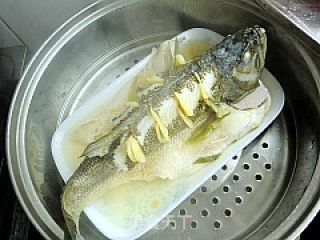 椒汁蒸鲈鱼的做法步骤：15