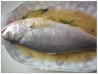 香煎大黄鱼的做法步骤：5