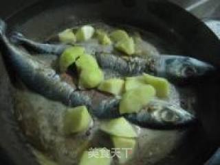 鲅鱼炖土豆的做法步骤：8