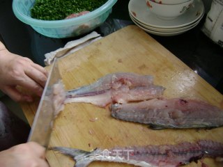 鲅鱼的处理的做法步骤：6