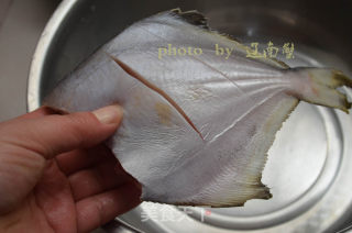 红烧鲳鱼，手残党也可以轻松煎鱼，不会破皮不会粘锅的做法步骤：2