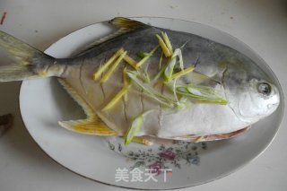 红烧鲳鱼的做法步骤：4