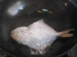 洋葱片红烧鲳鱼的做法步骤：3