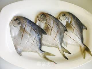 酱焖鲳鱼的做法步骤：2