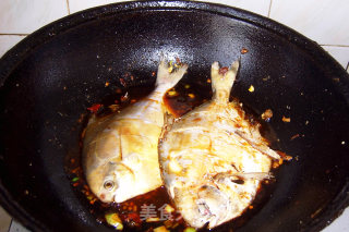 红烧鲳鱼的做法步骤：4