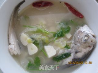 清炖鲳鱼汤的做法步骤：8