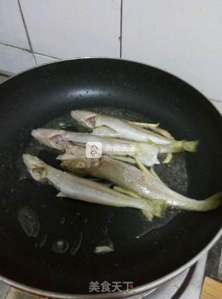 芹菜沙丁鱼的做法步骤：3