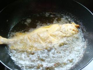 【鲁菜】--红烧黄鱼的做法步骤：7