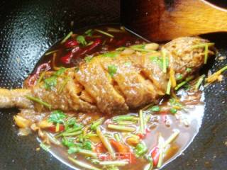【鲁菜】--红烧黄鱼的做法步骤：15