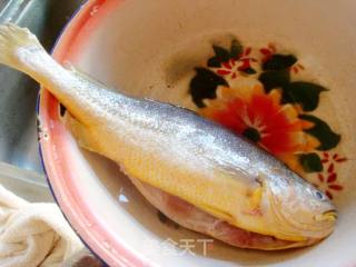 家常红烧黄花鱼的做法步骤：2
