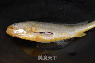 红烧黄花鱼的做法步骤：4