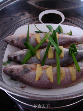 【粤菜】--广式清蒸黄鱼的做法步骤：4