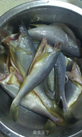 玉米面香煎黄花鱼的做法步骤：3