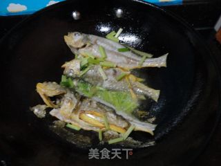 焖黄花鱼的做法步骤：3